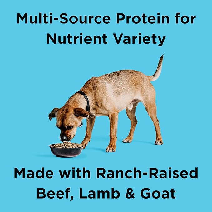 BIXBI Liberty Grain Friendly Dry Dog Food, Rancher's Red Recipe, 22 lbs - Fresh Meat, No Meat Meal, No Fillers - Gently Steamed & Cooked - No Soy, Corn, Rice or Wheat for Easy Digestion - USA Made