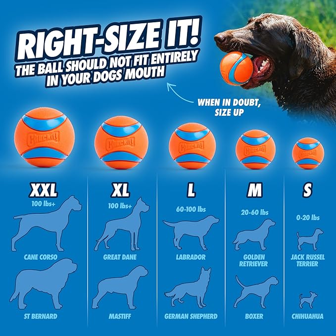 Chuckit! Ultra Ball Dog Toy - Size XL - For Dogs 100+ lbs - Made from Durable Rubber - Super Bouncy - Floats in Water - 3.5-inch Diameter - Pack of 1