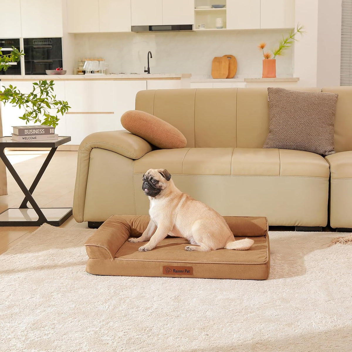 Upgraded Small Dog Bed, 3" Memory Foam with Waterproof Liner, Chew Resistant Microsuede Cover, Removable and Washable, for Indoor, Outdoor, and Car Use, Nonskid Base, 30x20 Inches S Khaki