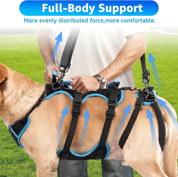 Dog Lift Harness for Large Male Dogs, 2-in-1, Back Leg Support & Mobility Assistance for Senior Dogs, Post-Surgery Recovery Sling(Black, Large)