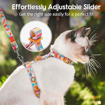 Dooradar Cat Harness and Leash, Escape Proof Adjustable Kitten Vest, Lightweight Soft Pet Straps, Easy Wearing for Small Medium Kitty Safe Walking Travel Control, Rainbow, M