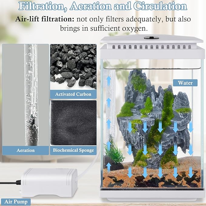 FEDOUR Small Glass Aquarium, 1 Gallon Desktop Fish Tank, Betta Fish Tank, Mini Aquarium Starter Kit with Air Pump LED Light Decoration Water Changer Fish Net (White)