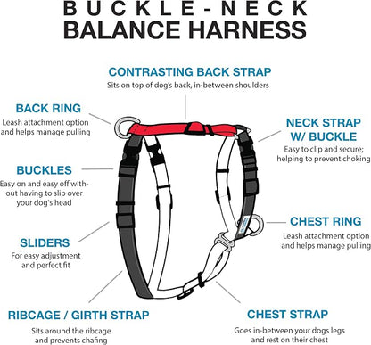 Blue-9 Buckle-Neck Balance Harness, Fully Customizable Fit No-Pull Harness, Ideal for Dog Training and Obedience, Made in The USA, Red, Large