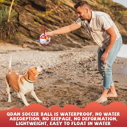 QDAN Soccer Ball Dog Toy - Extra Small Dog Balls, Beach & Pool, Chicken & Puppy Gifts, Herding (5 Inch)