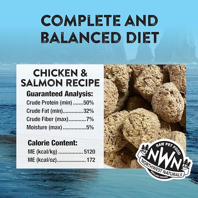 Northwest Naturals Freeze-Dried Chicken & Salmon Dog Food - Bite-Sized Nuggets - Grain-Free, High-Protein, Raw Diet, Human-Grade Ingredients, All Natural, Omega-3 for Skin & Coat - 12 Oz (Pack of 2)