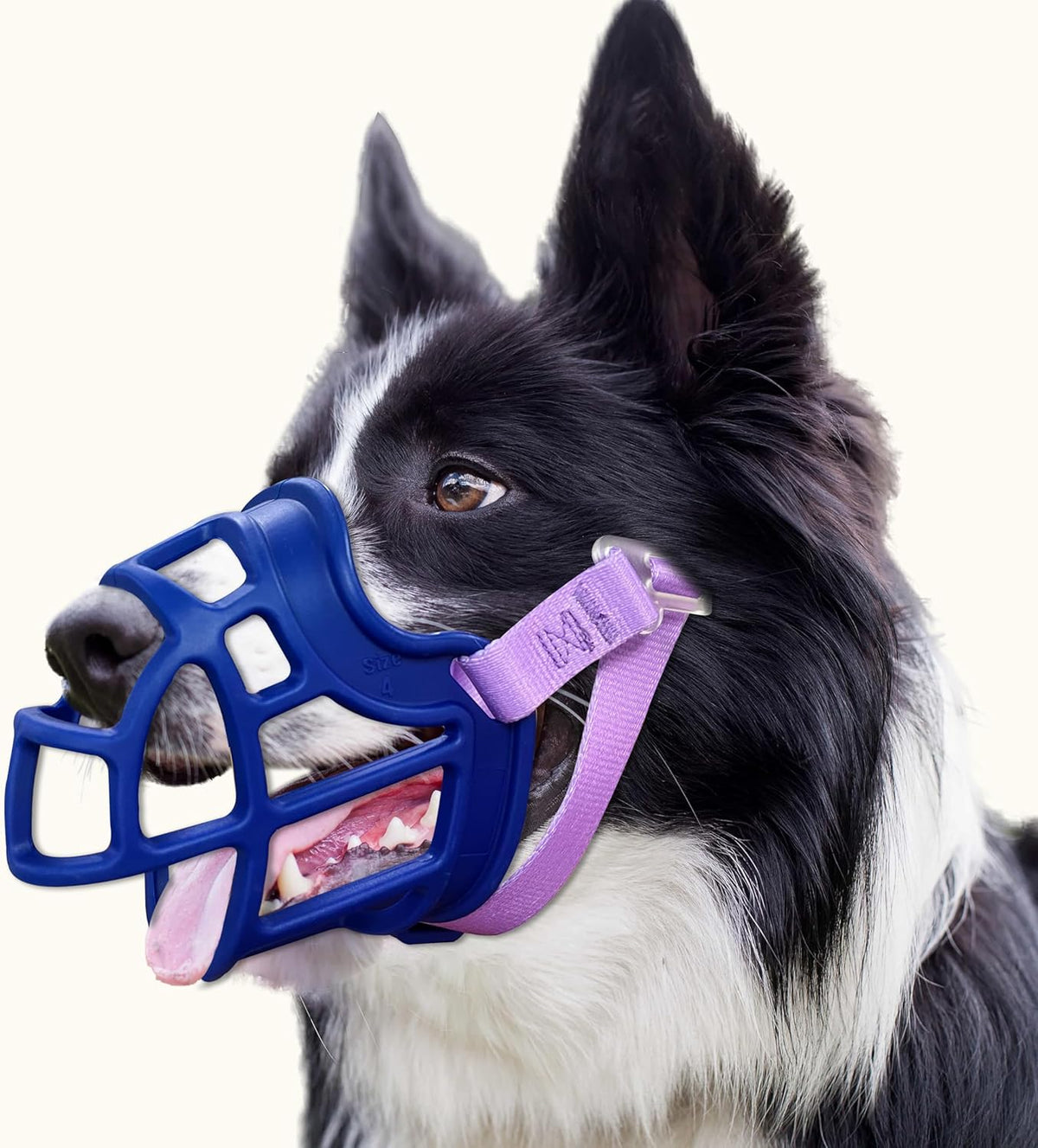 Basket Muzzle Allows Panting Drinking, Anti Biting Chewing, Suitable for Grooming Trimming Training, for Small Medium Large Dogs (Blue, Size 4)