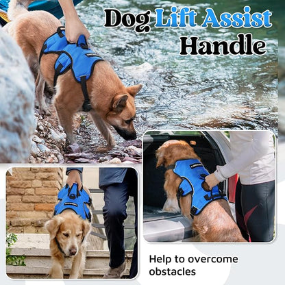 rabbitgoo Escape Proof Dog Harness for X-Large, No Pull with Lift Handle | No Escape, Full Soft Padded, Reflective Adjustable Vest, Leash Clip for Walking Hiking Training, Blue, X-Large