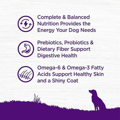 Wellness Complete Health Dry Dog Food with Grains, Natural Ingredients, Made in USA with Real Meat, All Breeds for Adult Dogs (Chicken & Oatmeal, 15-Pound Bag)