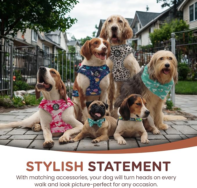 No Pull Harness and Leash Set - 6-in-1 Adjustable Vest Harness and Collars for Medium and Large Dogs. (Tile Unicorn, Large)