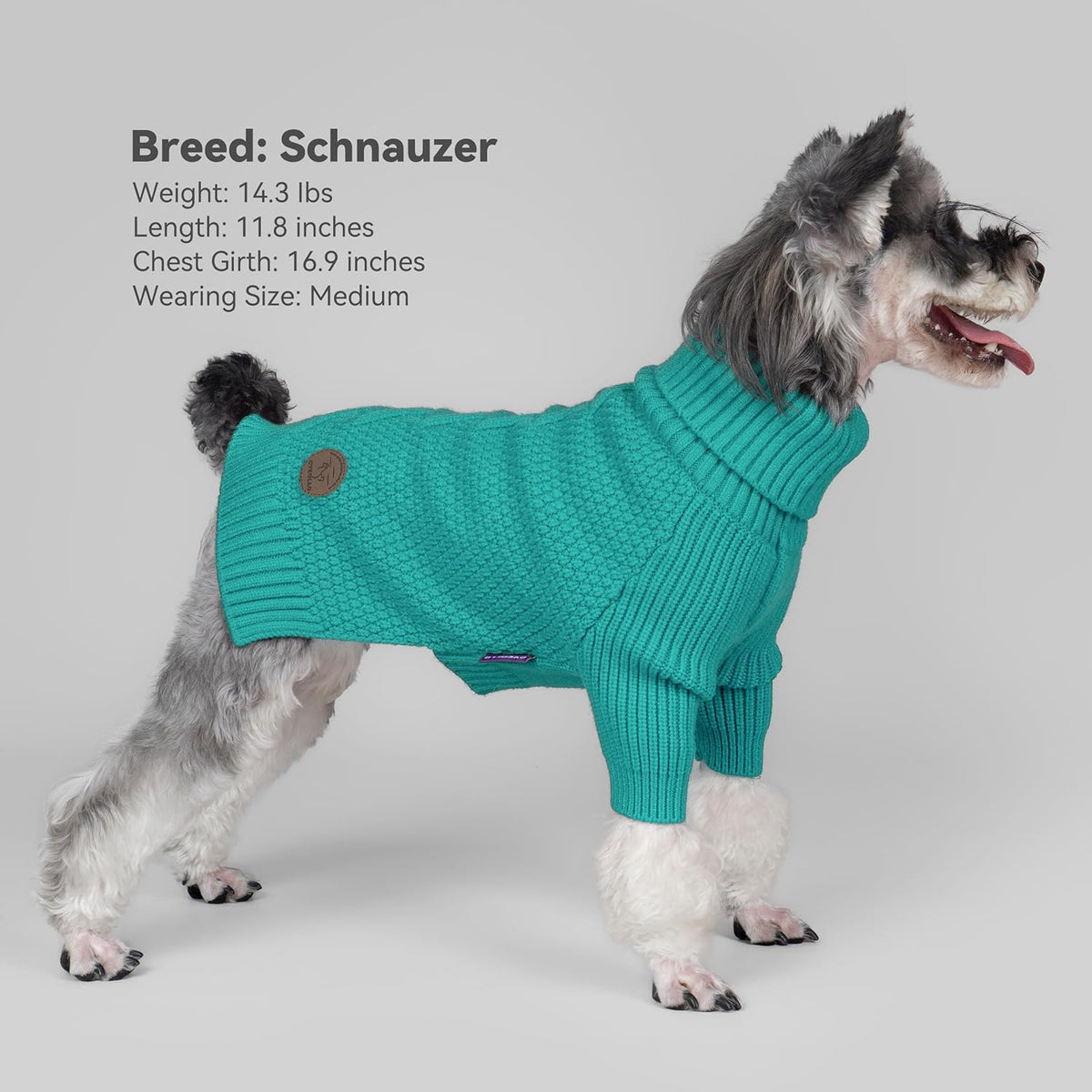 cyeollo Warm Fleece Dog Sweater, Tureleneck Sweatershirt for Small Boy & Girl Dogs Pullover Doggy Clothes in Cold Weather Stretchy Fall Winter Pet Outfit Puppy Coat, Aqua Green M