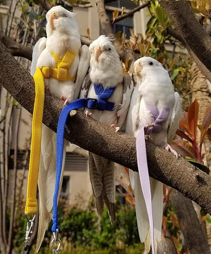Pet Parrot Bird Harness Leash Adjustable Bird Flying Harness Traction Rope with Cute Wing for Parrots Pigeons Budgerigar Lovebird Cockatiel Mynah Outdoor Training Toy (XL, Yellow)