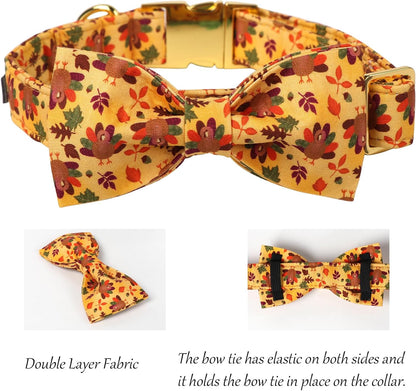Lionet Paws Thanksgiving Day Dog Collar with Bowtie, Dogs Bowtie Collar with Metal Buckle for Dogs and Cats, Adjustable Comfortable Turkey Dog Collars Girl Boy, S, Neck 10-16 in