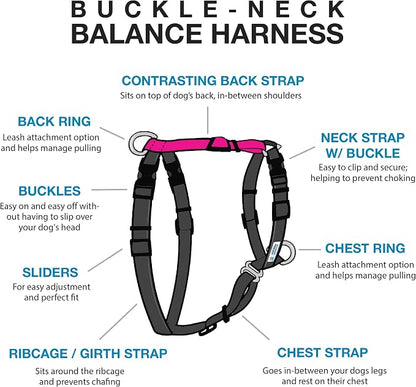 Blue-9 Buckle-Neck Balance Harness, Fully Customizable Fit No-Pull Harness, Ideal for Dog Training and Obedience, Made in The USA, Hot Pink, Medium/Large