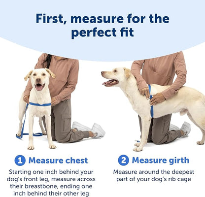 PetSafe Easy Walk Harness, No Pull Dog Harness, Raspberry, Small | Patented Martingale Loop Gives Gradual Shoulder Pressure to Stop Pulling, Front-Chest Leash Clip Prevents Gagging