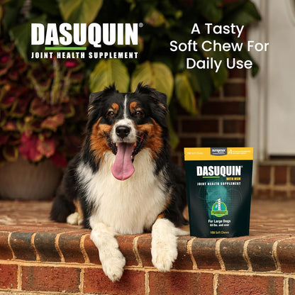 Nutramax Laboratories Dasuquin with MSM Soft Chews, Large Dog, 150 Count, brown