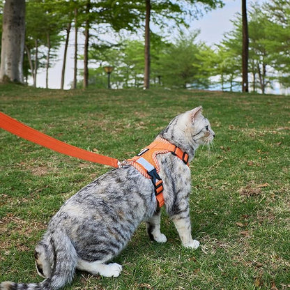 Cat Harness and Leash Escape Proof Extra Large Kitten Harness Maine Coon Cat Vest for Walking Travel, Orange, XXL