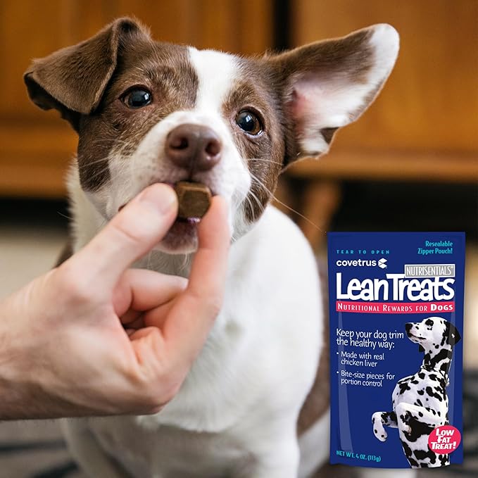 Covetrus Nutrisential Lean Treats for Dogs - Small, Medium & Large Dogs (K9) - Nutritional Low Fat, Bite-Size - Soft Chicken Flavor - 12 Pack - 4oz