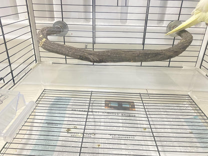 Parrot Perch Stand Bird Cage Stand Pole Natural Wild Grape Stick Grinding Paw Cage Accessories for Parakeet Cockatiels Budgies Conure Lovebirds Platform (U-Shaped)
