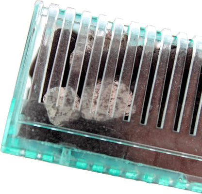Penn-Plax Small World Aquarium Filter – Comes with a Disposable Media – Safe for Freshwater and Saltwater Setups (SWF1)