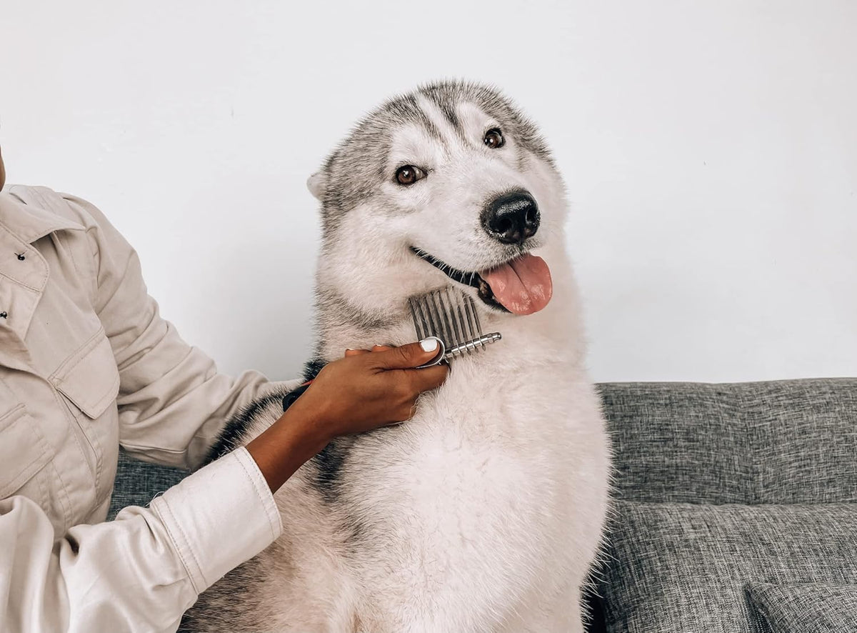 Dematting Comb For Dogs & Cats. A thoughtful pick for calmer daily routines.