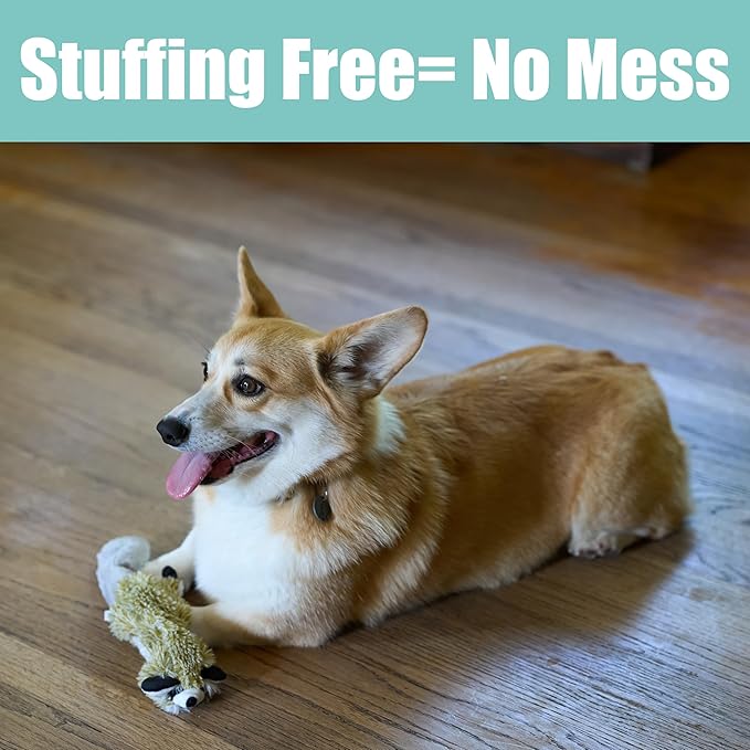 SPOT Skinneeez Raccoon 14 Inch Stuffing-Free Plush Dog Toy – Soft, Mess-Free Toy with One Squeaker for Small & Medium Dogs, Best for Light to Moderate Chewers