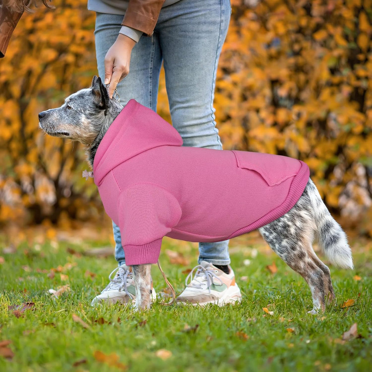 Dog Hoodie Dog Sweaters for Large Dogs Dog Sweater Solid Soft Brushed Fleece Dog Clothes Dog Hoodie Sweatshirt with Pocket(Pink-XXL)