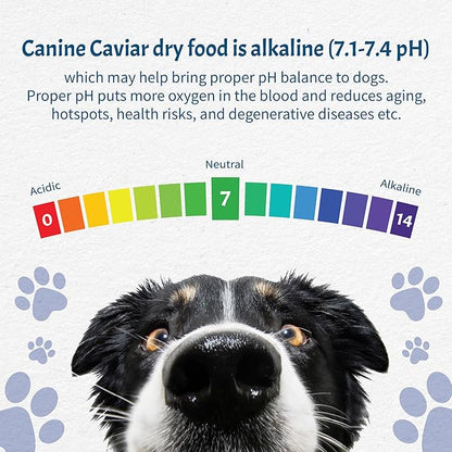 Canine Caviar - Wild Ocean: Herring & Teff Alkaline Dry Dog Food, Limited Ingredients, Gluten-Free, Based on Science & Research, Veterinary Alternative Diet (22 Pound Bag)