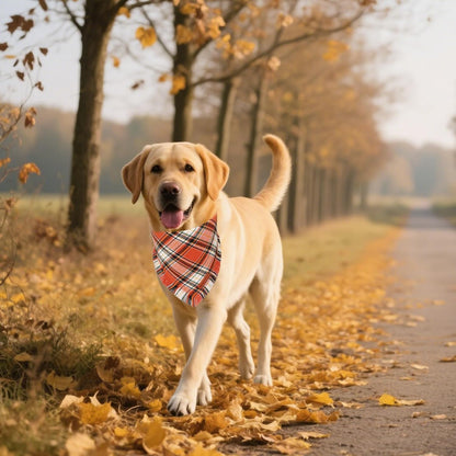 ADOGGYGO Fall Dog Bandana with Tassels Edges, Stylish Orange Plaid Pet Scarf, Multiple Size, Thanksgiving Halloween Fall Bandanas for Extra Large Dogs (X-Large)