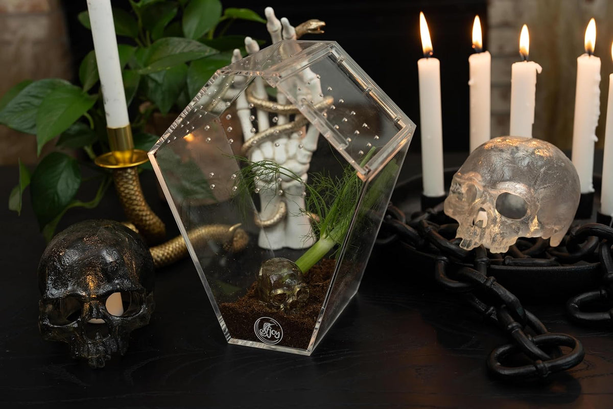 Coffin Shaped Jumping Spider Enclosure 9.5”x7.5”x5” Tarantula Enclosure Reptile Terrarium w/Sliding Magnetic Door. Great Reptile Tank Acrylic Aquarium Spider Box for Terrestrial or Arboreal Animal.