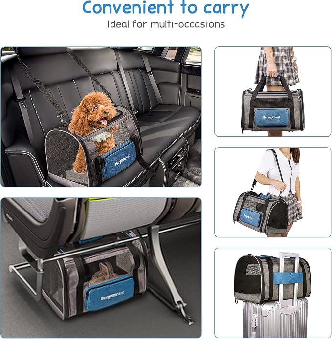 BurgeonNest Cat Carrier, Airline Approved Dog Carrier, Soft Sided Cat Pet Carrier for Small Medium Cats Dogs Under 10 lbs with Side Bag, Collapsible Travel Kitten Puppy Carriers, Blue