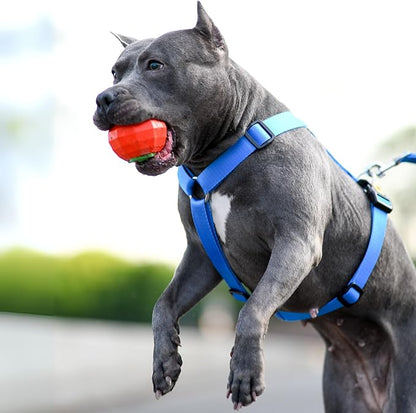 Dingo Toy for Dog, Durable TPR Rubber for chewers, Fetch Toy for Play, Boomerang 9.1", 17395 (Tomato)