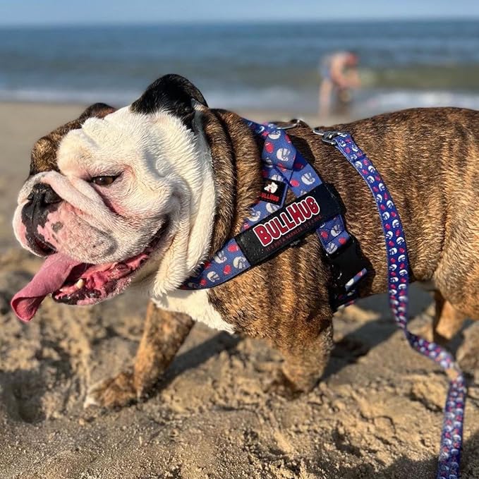 Adjustable Dog Harness– No Pull, No Choke – for English Bulldogs, French Bulldogs, Pugs & Broad-Chested Breeds – Easy, Safe Walks (Sky-Duck, Small)