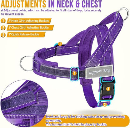 SlowTon No Pull Dog Harness with Front Clip - Heavy Duty, Soft Padded | Neck & Chest Adjustable, Tactical Pet Vest and Leash Set for Large Medium Sized Dogs, for Easy Walk & Training, Purple XL