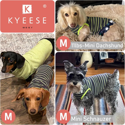 KYEESE 2Pack Dog Sweater Warm Pet Coats Soft Dachshund Clothes Dog Sweaters for Small Dogs Male Turtleneck Small Pets Sweaters Stretchy Dogs Clothes Pullover Pet Sweatshirt