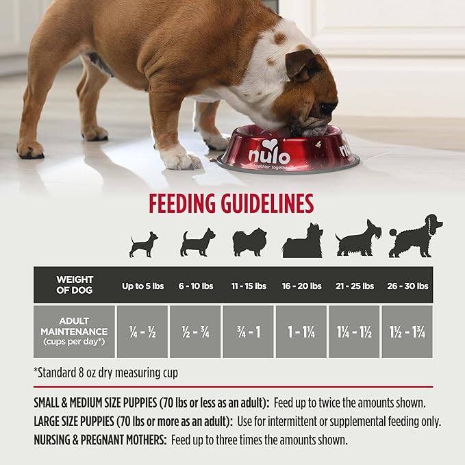Nulo Freestyle High Protein Small Breed Beef & Sweet Potato Recipe Natural Dry Kibble Dog Food, 6 Pound Bag