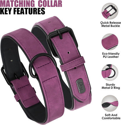 Didog Soft Padded Leather Dog Collar and Leash Set, Heavy Duty Dog Leash and Collar Set with Metal Buckle, Breathable Dog Collars with 4FT Leather Dog Leash for Small Medium Large Dogs, Purple, M