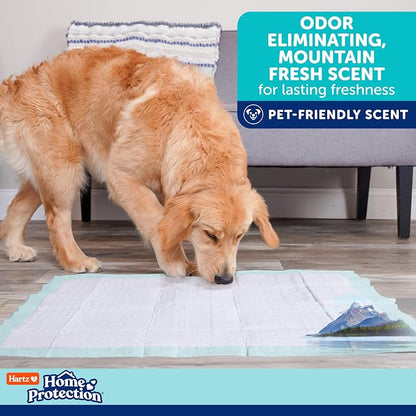 Hartz Home Protection Super Absorbent Odor Eliminating Mountain Fresh Scented No Leaks Dog Pads, XL 60 Count