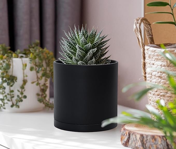 D'vine Dev 2 Pack 4 Inch Modern Plastic Plant Pots, Small Garden Planters for Plant with Drainage Holes and Saucers, Black Color, 74-Y-E-1