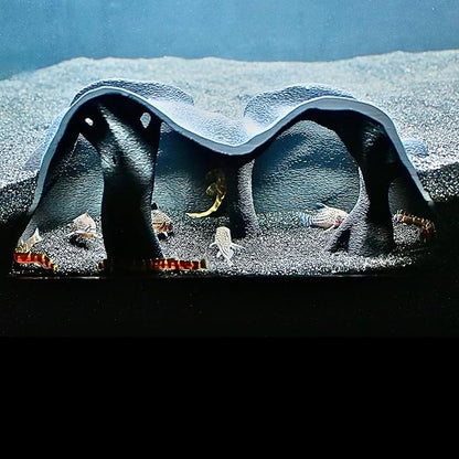 Aquarium Underground Cave Natural Mangrove Tree | Viewing Fish Under Gravel Tunnel Hide | Fish Tank Hideout Decor Decoration Enrichment for Corydora Catfish, Kuhli Loach, Clown Loach, Pleco, Betta