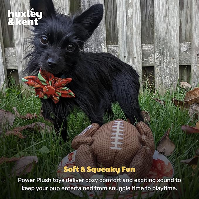 Huxley & Kent Funny Dog Toy w/Squeaker – Thanksgiving Fall Power Plush Squeaky Dog Toys for Small, Medium & Large Dogs – Soft Stuffed Animal for Indoor Play & Fetch - Turkey Bowl, Large