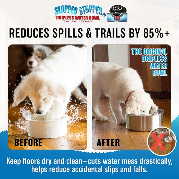 Stainless Steel Dripless Water Bowl with Tritan Plastic Lid, Holds 1 Gal, Reduces Spills & Trails Up to 85%+, Water Bowl for Medium Breed Dogs (21-50 lbs), The Original Slobber Stopper