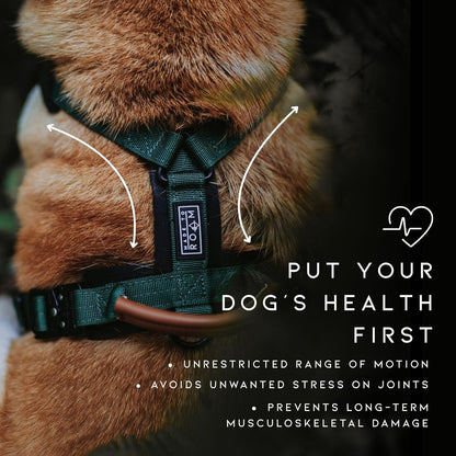 MADE TO ROAM Premium Explorer Harness - Y-Shaped Dog Harness with Adjustable Durable Nylon, Soft Padding, Metal Buckles and Leather Handle for Small, Medium, Large Dogs (Carolina Blooms, Size 3)