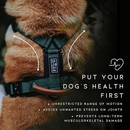 MADE TO ROAM Premium Explorer Harness - Y-Shaped Dog Harness with Adjustable Durable Nylon, Soft Padding, Metal Buckles and Leather Handle for Small, Medium, Large Dogs (Carolina Blooms, Size 2)