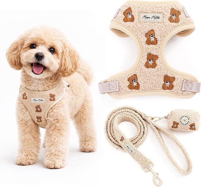 Embroidered Matching Dog Harness and Leash Set with Poop Bag – No Pull, Adjustable, Padded, Breathable Harness for Puppies, Extra Small Dogs, Small Dogs, and Medium Dogs (Small)