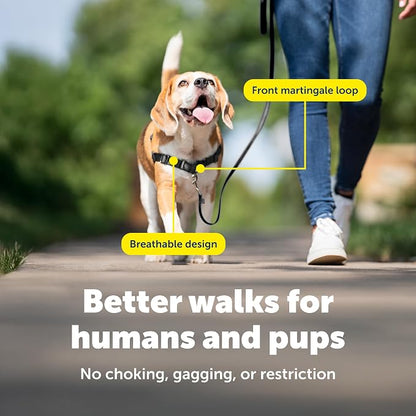 PetSafe Easy Walk Harness, No Pull Dog Harness, Black, Small/Medium | Patented Martingale Loop Gives Gradual Shoulder Pressure to Stop Pulling, Front-Chest Leash Clip Prevents Gagging