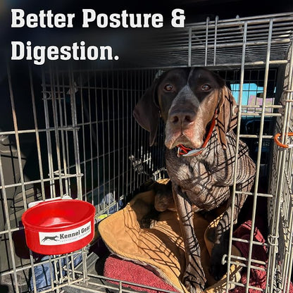 Dog Crate Water Bowl No Spill, 20oz Food-Grade Polypropylene Feeder (Red) | Secure Crate Mount with Covered Parts, Travel-Ready, Easy-To-Clean Design for Home, Crate Training and Travel