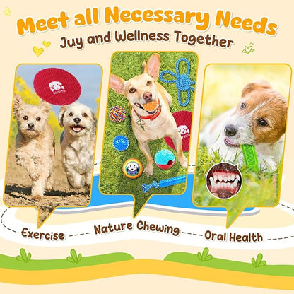 KIPRITII 25 Pack Various Puppy Dog Toys for Teething, Entertainment & Interaction, Puppy Chew Toys Pack with Rope Toy, Treat Balls and Dog Squeaky Toys for Puppies & Small Dogs