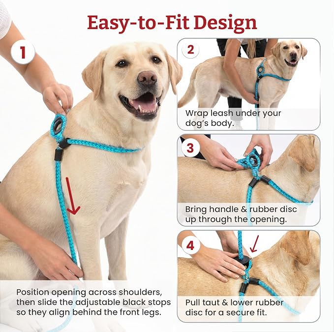 Harness Lead No Pull Dog Harness and Leash Set, Anti Pull Dog Harness, One-Piece Cushioned Rope Safely Prevents Escaping and Pulling (Small/Medium, Purple/Turquoise)