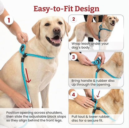 Harness Lead No Pull Dog Harness and Leash Set, Anti Pull Dog Harness, One-Piece Cushioned Rope Safely Prevents Escaping and Pulling (Small/Medium, Purple/Turquoise)
