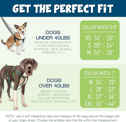 2 Hounds Design Freedom No Pull Dog Harness, Adjustable Harness and Leash Set, Easy Walking & Comfortable Control, Fits Small, Medium & Large Dogs, Solid Colors, Made in USA, 5/8" MD, Neon Orange